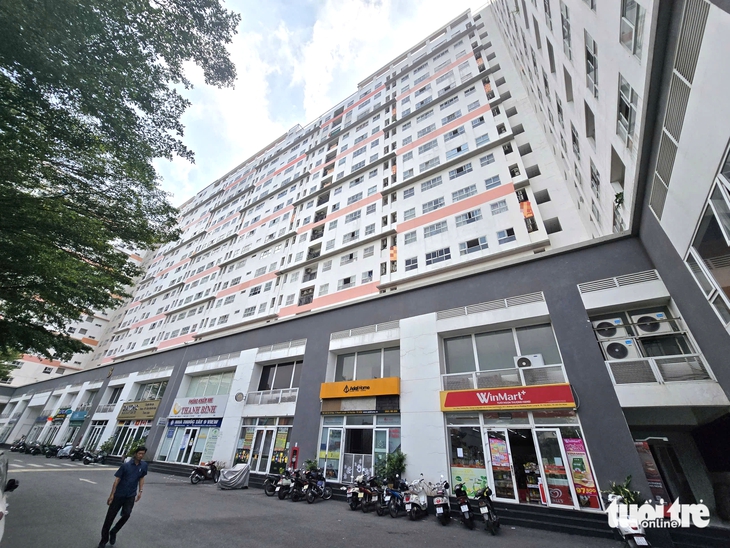 thi tuyển - Ảnh 1.