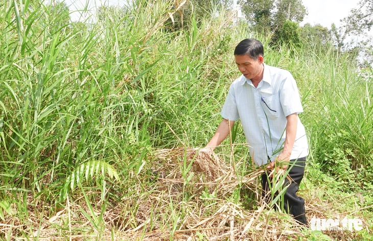 An Giang nỗ lực giữ màu xanh của rừng giữa mùa khô hạn - Ảnh 4.