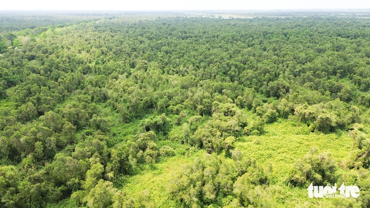 U Minh Thượng - Ảnh 5.