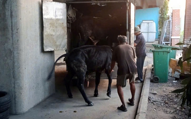 Kiểm tra tài xế dừng xe sai quy định trên cao tốc phát hiện thêm nhiều lỗi, phạt 77 triệu đồng - Ảnh 3.