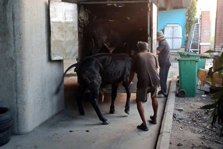 cao tốc - Ảnh 1.