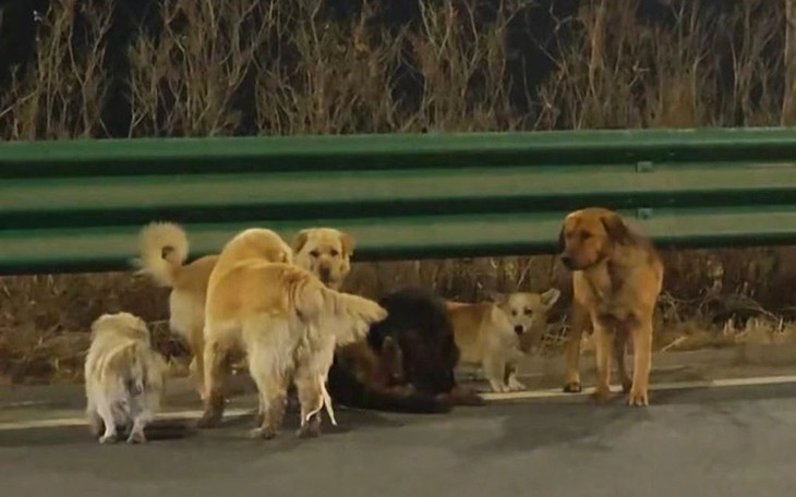 Cô bé đẹp đến nỗi bố phải nghỉ làm để bảo vệ giờ ra sao?  - Ảnh 3.