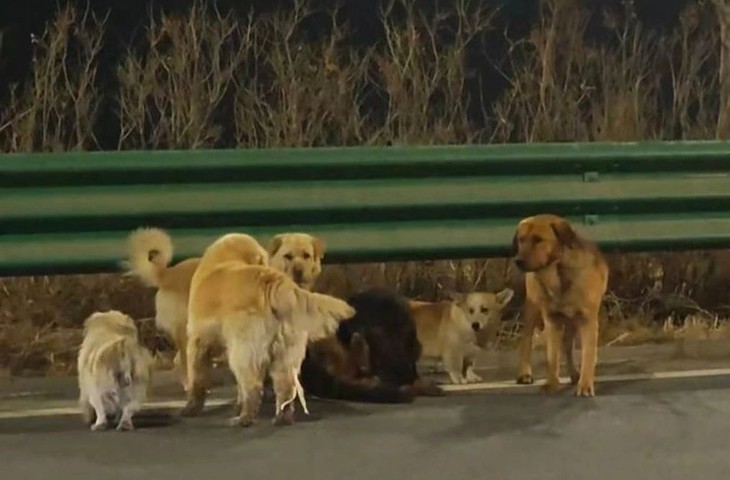 vượt ngục - Ảnh 1.