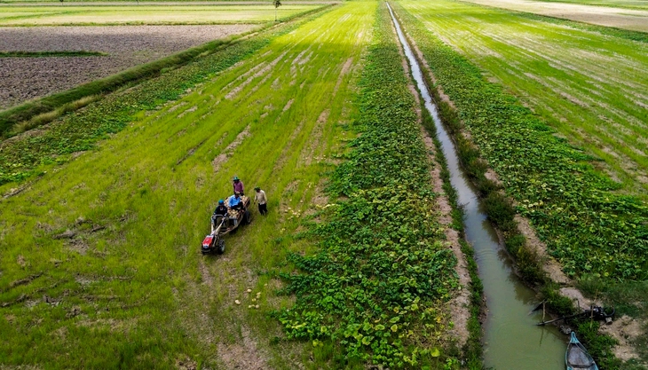 giải cứu - Ảnh 2.