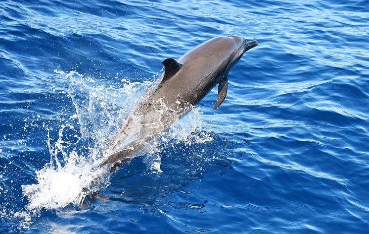 Tin tức thế giới 24-3:  - Ảnh 1.