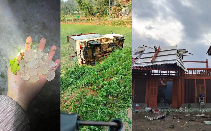 Cây đổ trong cơn dông, đè trúng ô tô và người ở Nghĩa Lộ, Lào Cai - Ảnh 2.