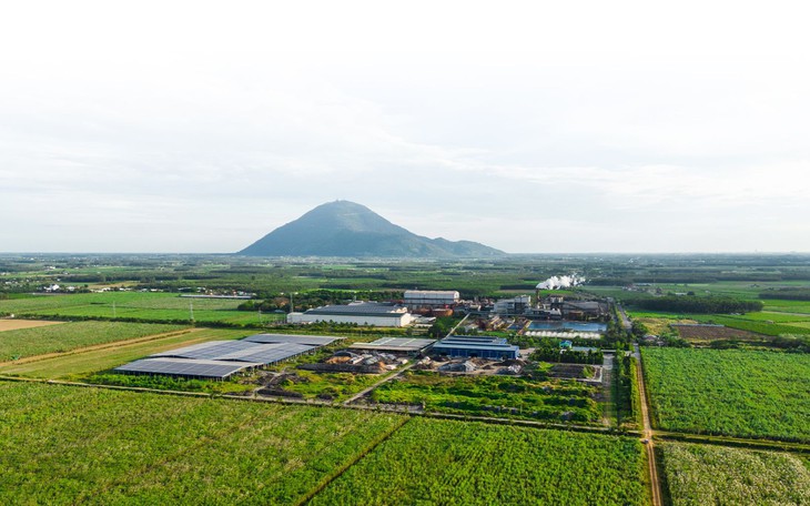 TTC Đại Tín kỷ niệm 10 năm thành lập, hướng tới giai đoạn phát triển mới - Ảnh 2.