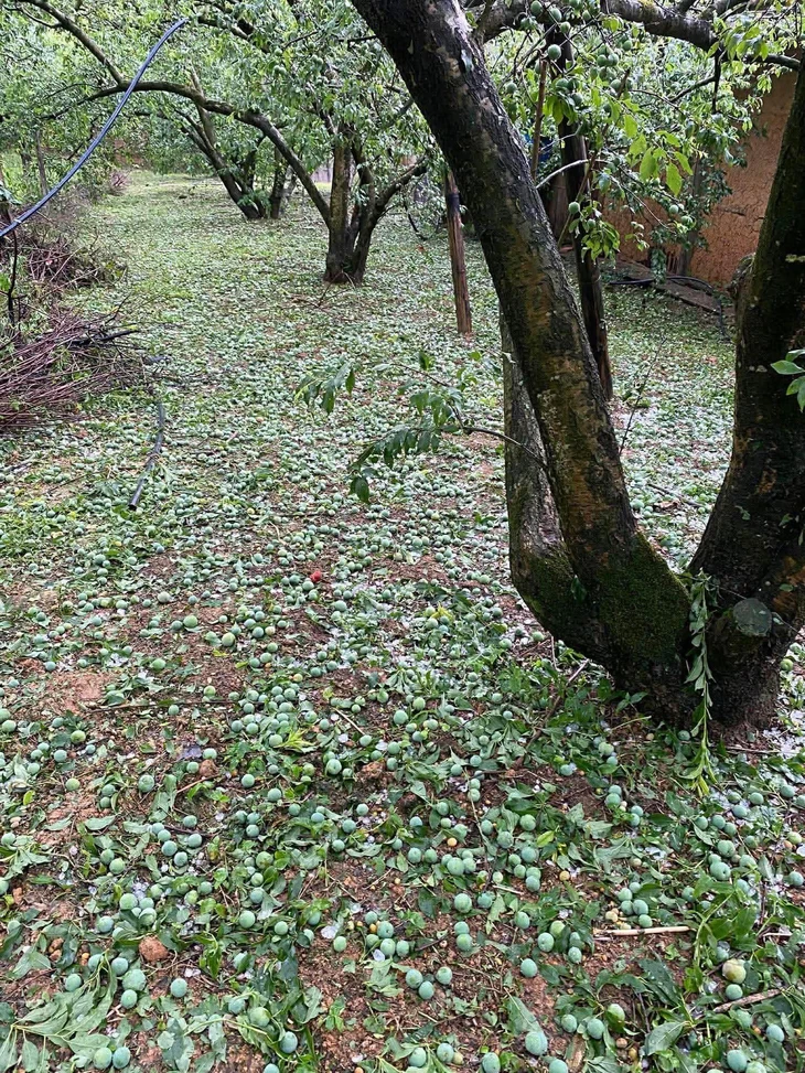 mưa đá - Ảnh 13.