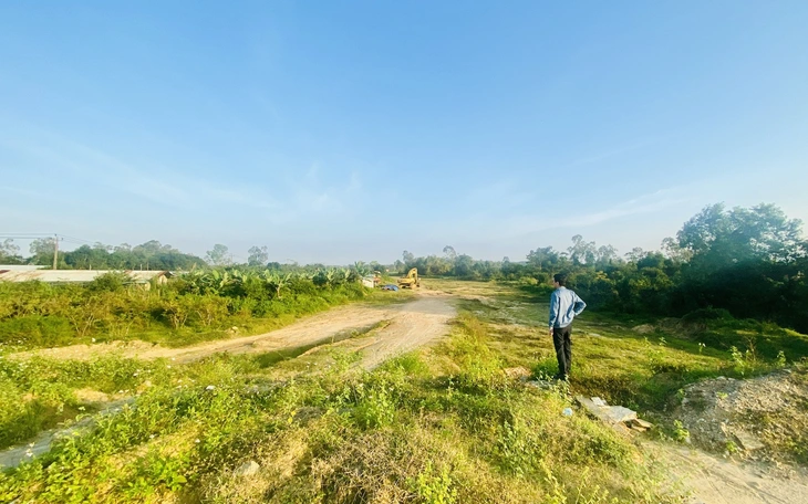 Đà Nẵng yêu cầu đẩy nhanh tiến độ hoàn thiện đường dẫn nhiều cây cầu - Ảnh 4.