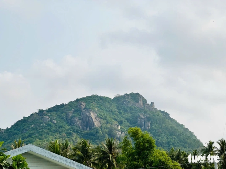 cao tốc TP.HCM - Ảnh 2.