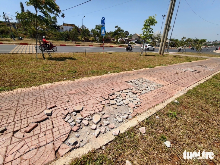 Đại lộ - Ảnh 4.