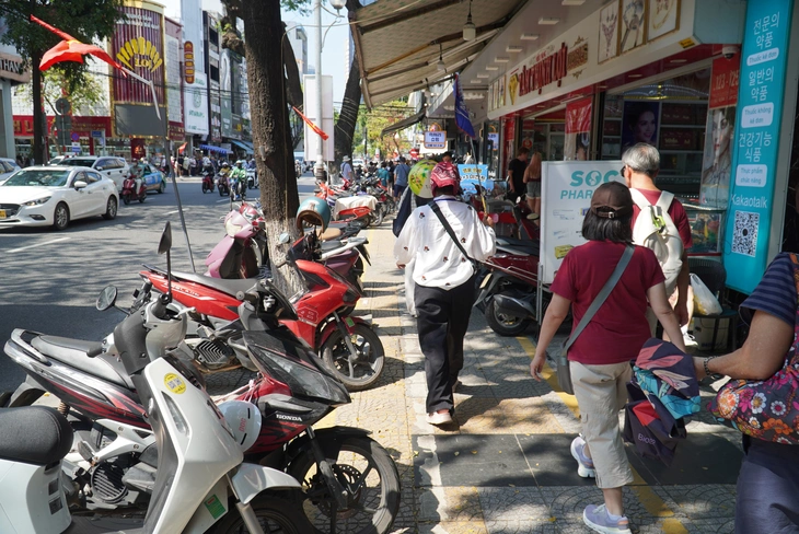 vỉa hè - Ảnh 10.