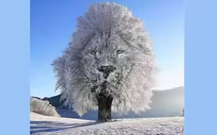 Quiz: Bạn có tố chất lãnh đạo bẩm sinh hay là người khiêm tốn, kín đáo? - Ảnh 2.