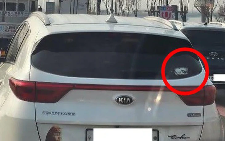 Cô gái gây sốt với khả năng 'in 3D' bằng... răng - Ảnh 4.