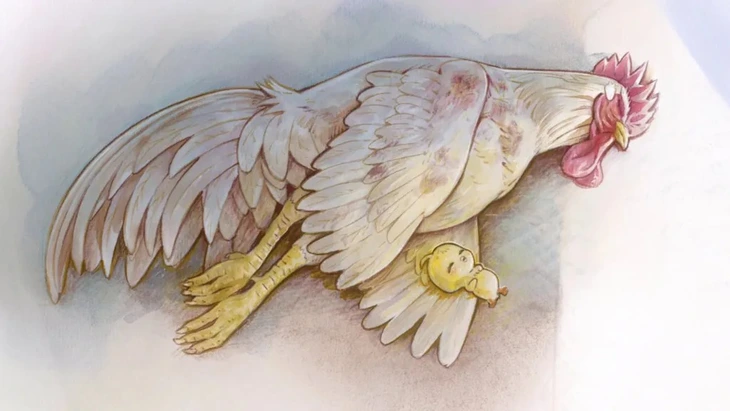 My Hero Academia - Ảnh 1.