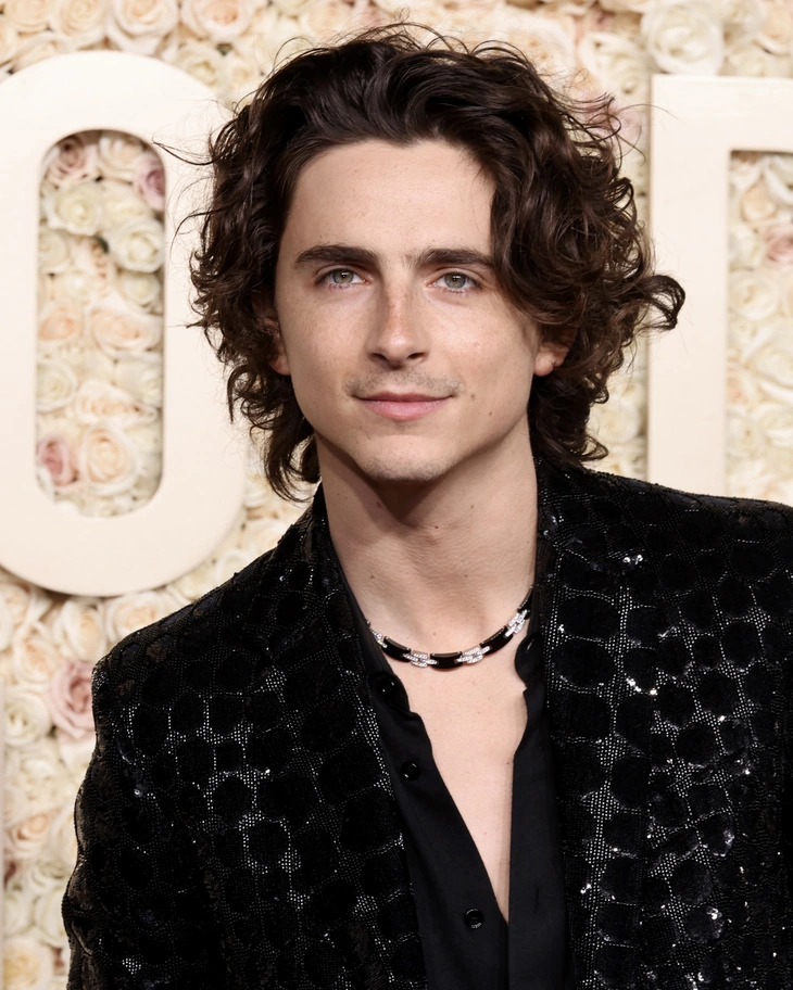 Timothée Chalamet - Ảnh 9.