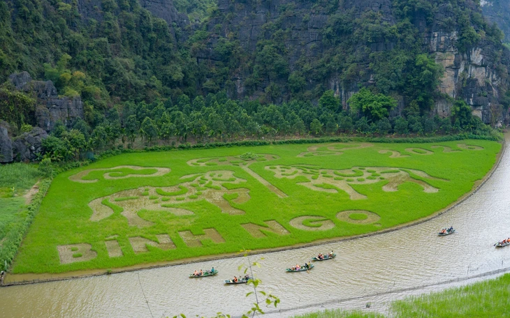 Ninh Bình mời gọi du khách về ngắm mùa vàng Tam Cốc - Ảnh 4.