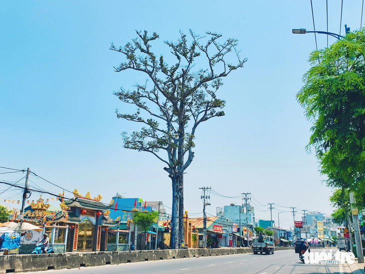 Đông Thạnh - Ảnh 5.