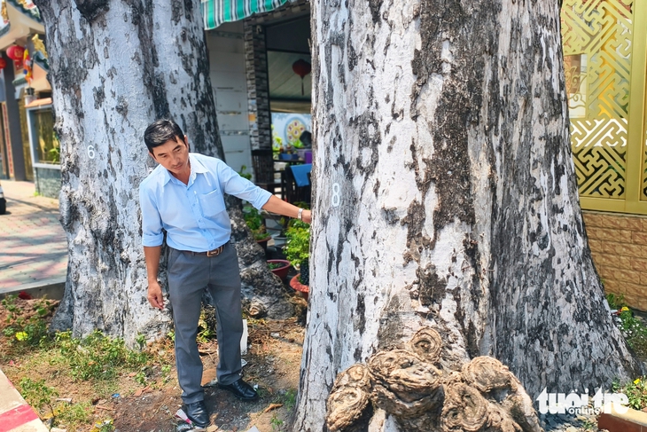 Đông Thạnh - Ảnh 6.