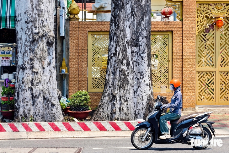 Đông Thạnh - Ảnh 7.