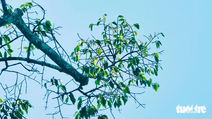 Đông Thạnh - Ảnh 8.