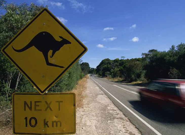 tai nạn - Ảnh 2.