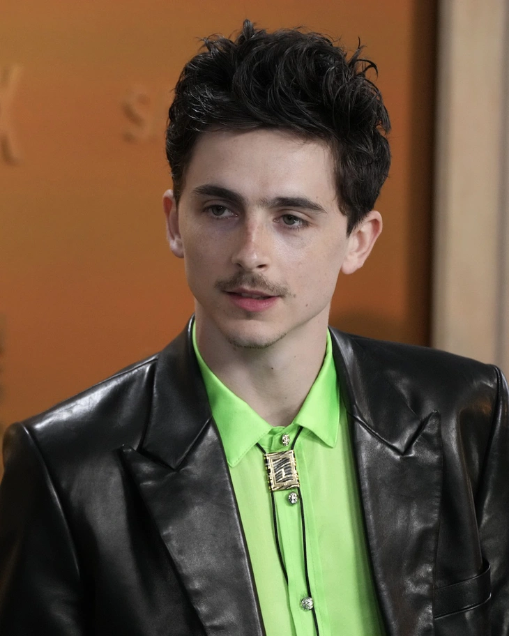 Timothée Chalamet - Ảnh 5.