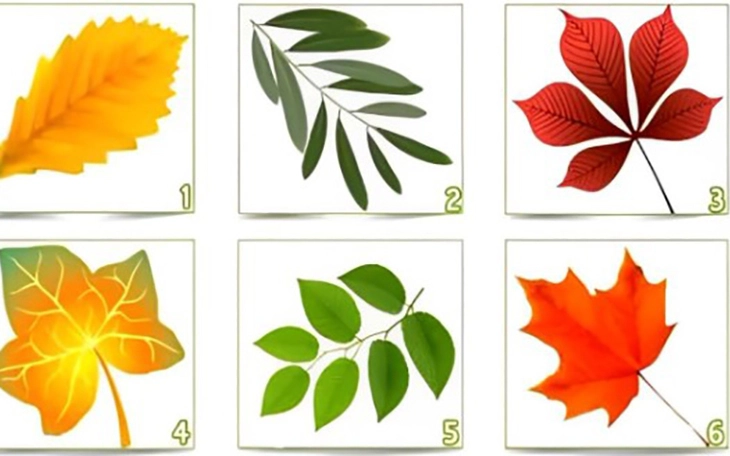 Quiz: Bạn tốt bụng hay là người tự tin, dễ gần? - Ảnh 4.