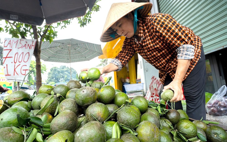 Giá cả đầu ngày: Cuối vụ, mận An Phước, chôm chôm Tiến Cường được giá - Ảnh 2.