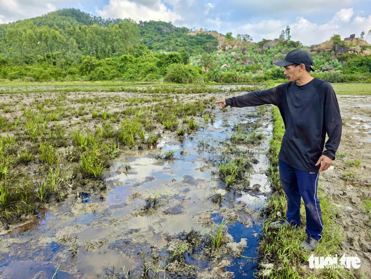 cao tốc - Ảnh 3.