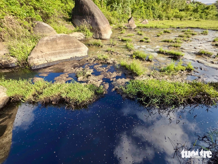 cao tốc - Ảnh 4.