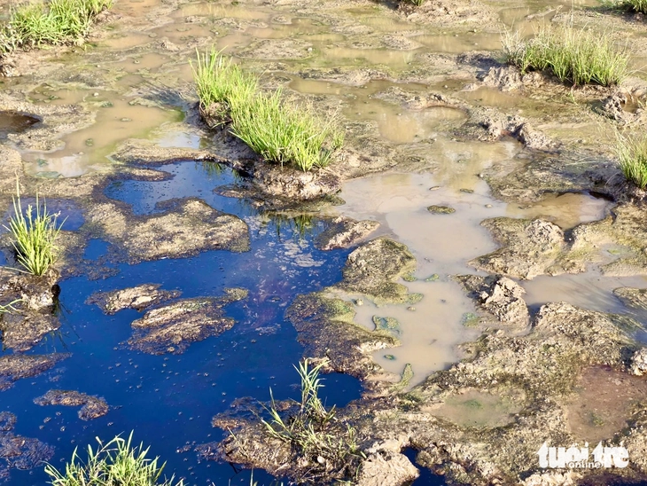 cao tốc - Ảnh 6.