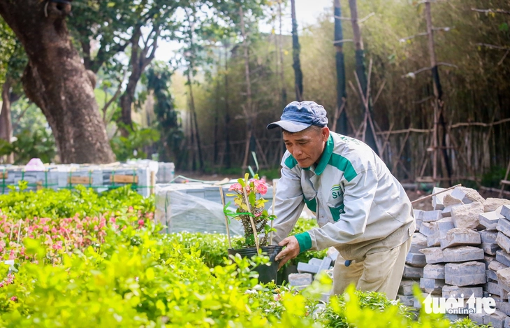 công viên - Ảnh 2.