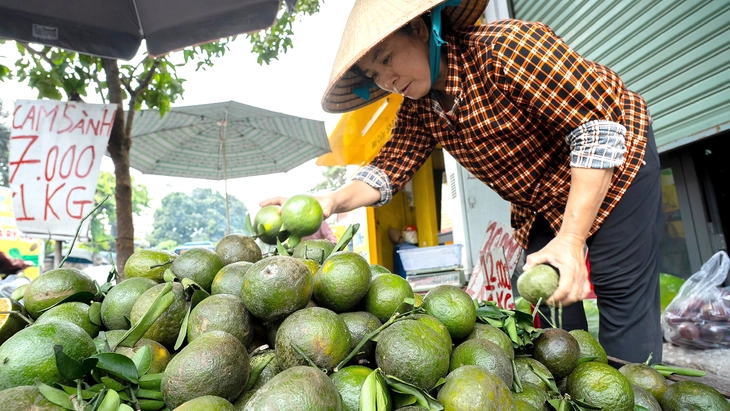 nông sản - Ảnh 1.