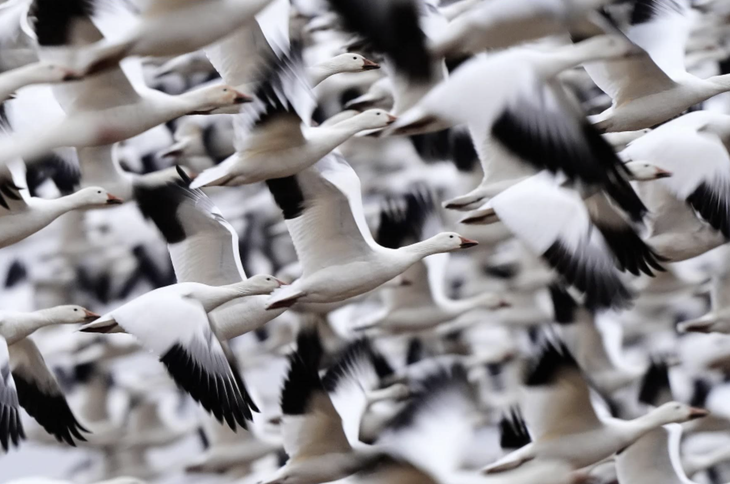 Tin tức thế giới 27-3: Mỹ dừng tấn công cơ sở năng lượng Iran 10 ngày, nói đàm phán đang 'rất tốt' - Ảnh 5.