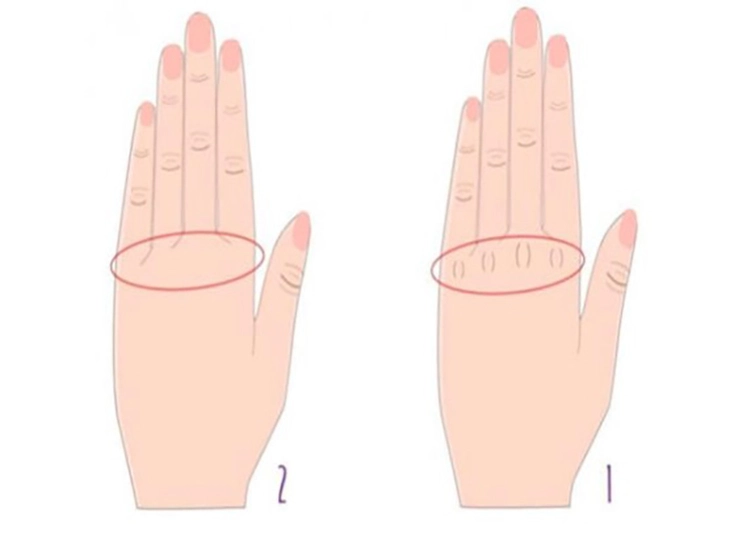 Hình dạng bàn tay - Ảnh 1.