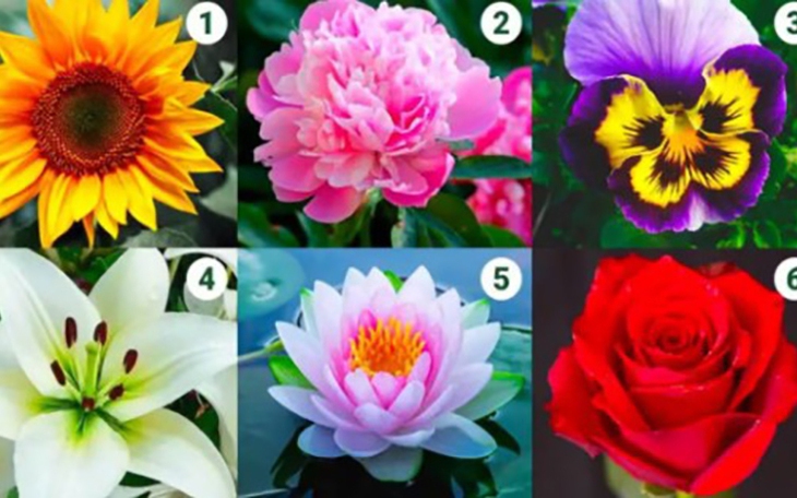 Quiz: Tín hiệu tốt lành đang chờ đón bạn? - Ảnh 3.