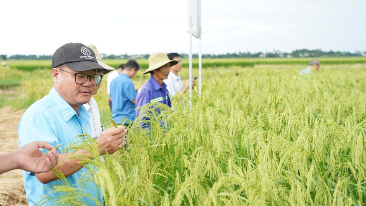 nguồn gen - Ảnh 2.