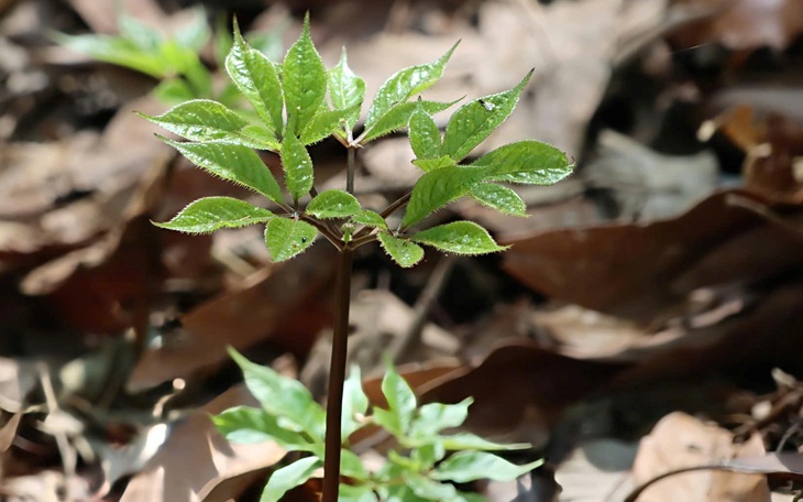 'Rực rỡ' nhất với nhiều người có lẽ là khoảnh khắc bác sĩ mỉm cười thông báo kết quả - Ảnh 2.