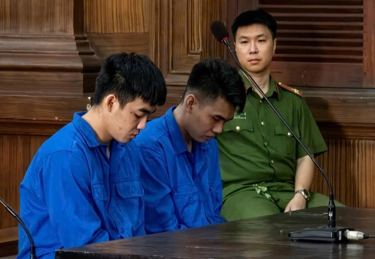 Xâm hại tình dục bé gái 13 tuổi, 2 thanh niên lãnh án tù - Ảnh 1.