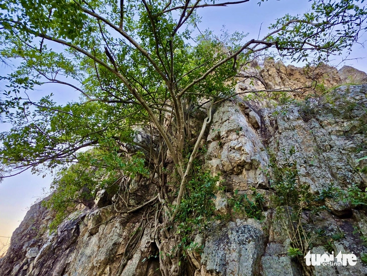 Phú Yên - Ảnh 5.