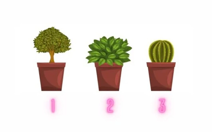 Quiz: Bạn điềm tĩnh, nhẹ nhàng hay hào phóng? - Ảnh 2.