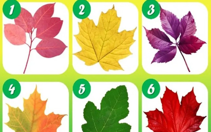 Quiz: Bạn có phải là người lãng mạn? - Ảnh 3.