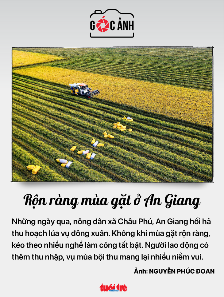 tin tức - Ảnh 8.