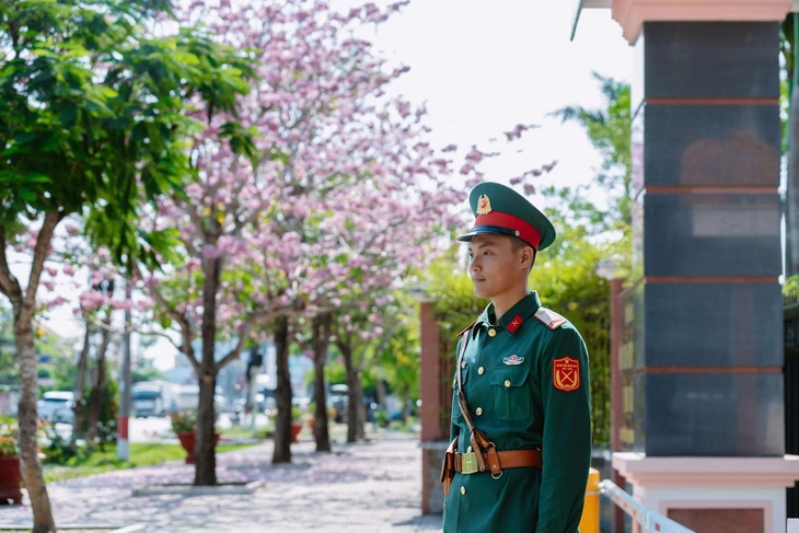 Sắc hồng kèn hồng tô thắm doanh trại - Ảnh 1.