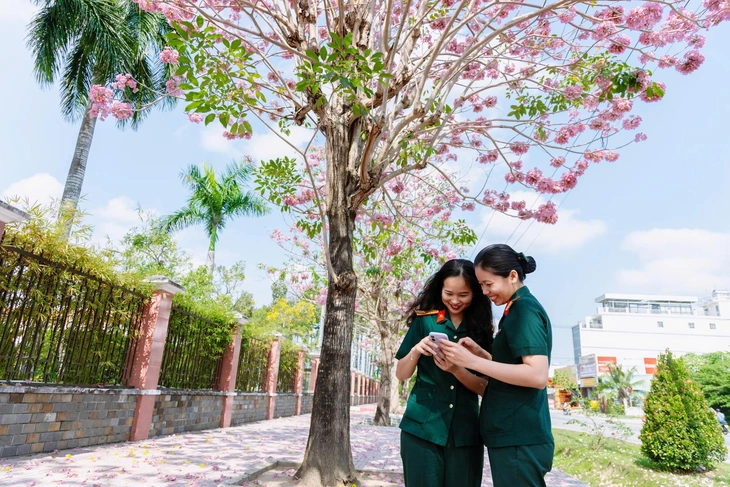 kèn hồng - Ảnh 4.