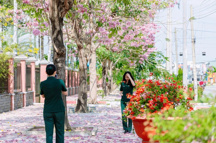 kèn hồng - Ảnh 2.