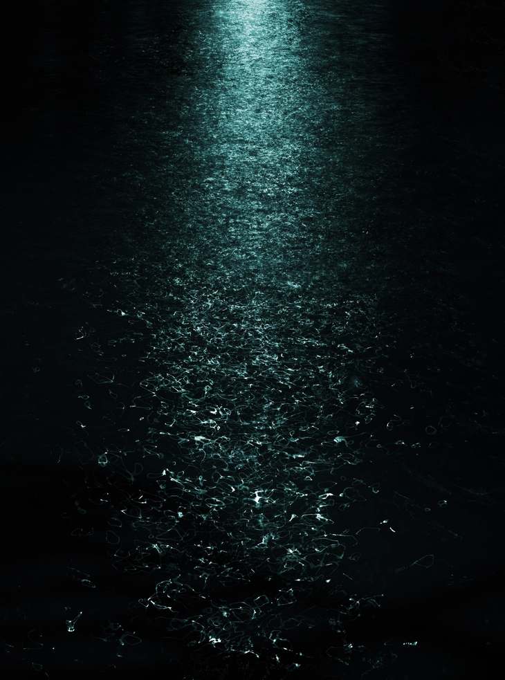 Nhiếp ảnh gia Hà Nội: ‘Ảnh mang vào TP.HCM người ta mới xem’ - Ảnh 3. Nhiếp ảnh gia - Ảnh 3.