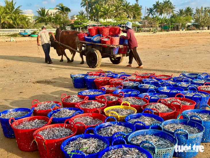 Phú Yên - Ảnh 3.