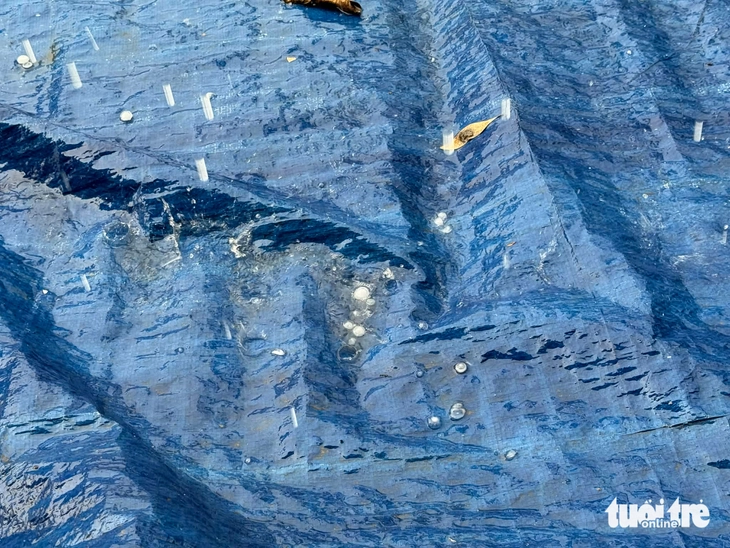 mưa đá - Ảnh 2.